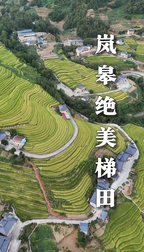 陕西安康岚皋县最新最新通报:寻找同轨迹人员(安康市岚皋县在陕南哪个部位)