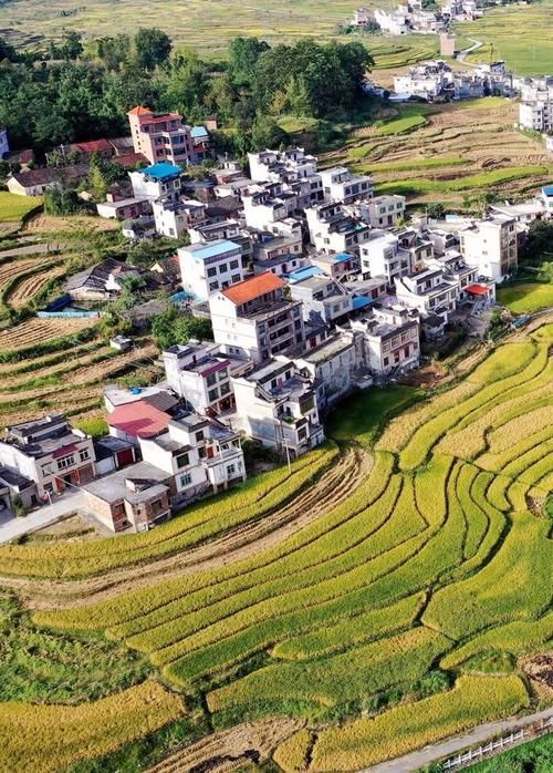 发现1名密接者!广西壮族自治区河池南丹县/广西河池市南丹