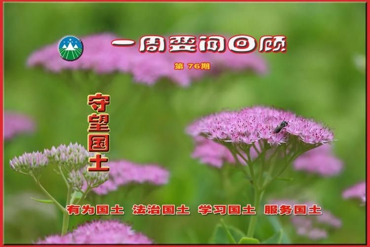 【疫情分布图最新阿拉善盟,阿拉善最新消息今天】