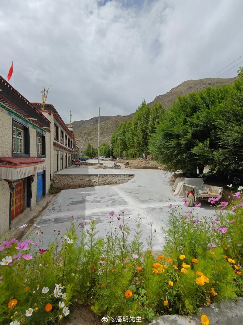 尼木县疫情最新情报/尼木县有几个乡几个村