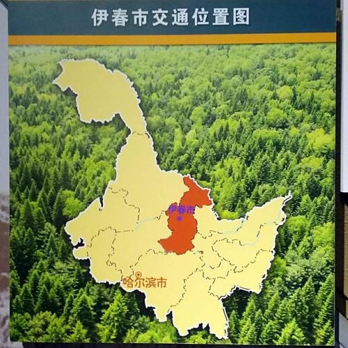 疫情防控中风险地区黑龙江省伊春市铁力市/黑龙江伊春铁力市地理图