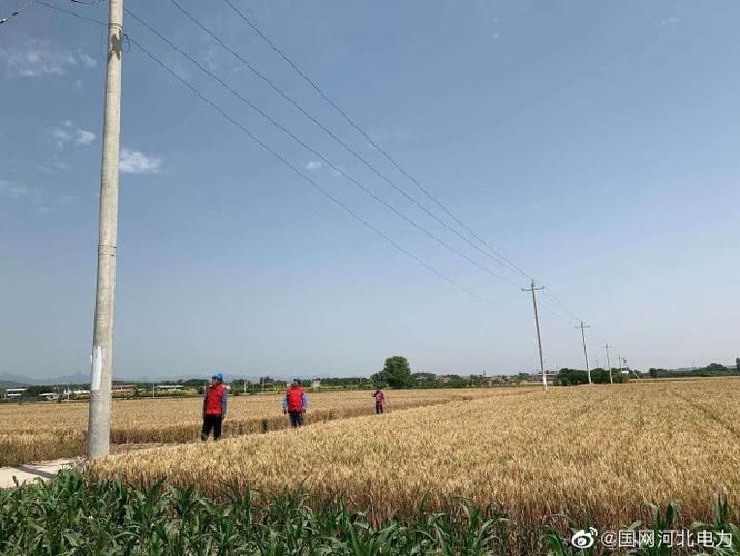 最新疫情绥滨县_电线为什么是两根