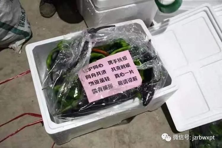 辽宁锦州北镇通报18例本土确诊详情_今日锦州北镇新闻
