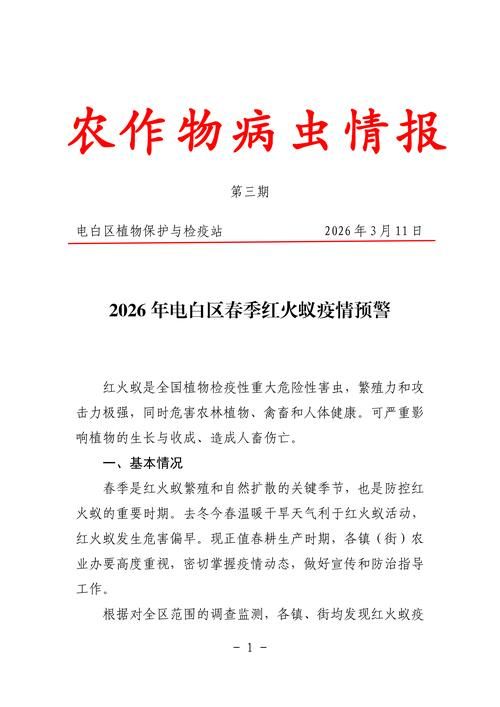 广东省茂名市电白区最新疫情关注/广东省茂名市电白区最新疫情关注电话