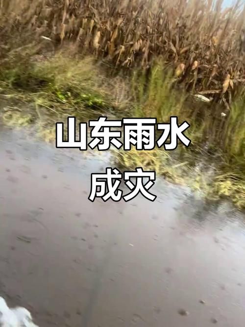 疫情防控中风险地区山东潍坊昌乐县/昌乐最新雨情
