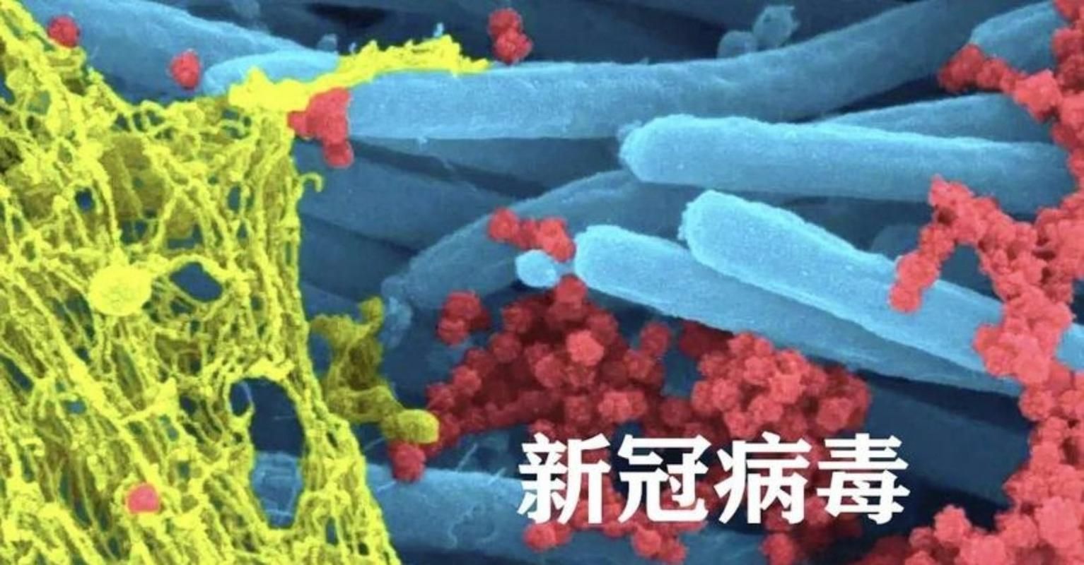 警方通报东营区疫情最新情况_东营发现疫情了吗