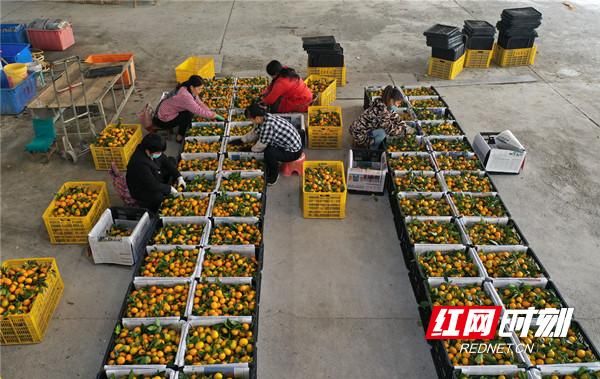 【永州市回龙圩管理区疫情最新表解_永州回龙圩g538k48最新消息】