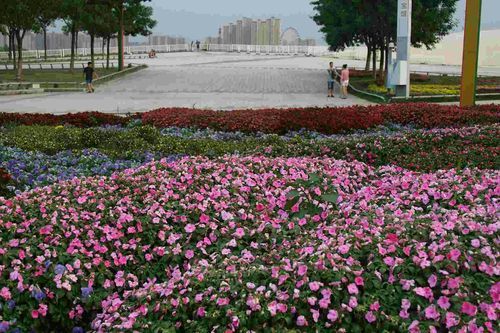 碑林区核酸阳性已蔓延26地_碑林区72小时详细天气预报