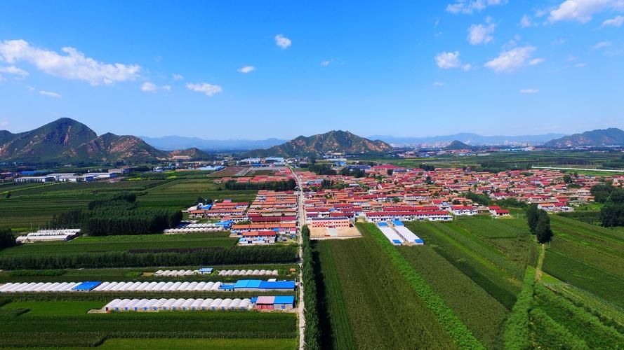 河北唐山遵化最新疫情进展信息/河北省唐山遵化市