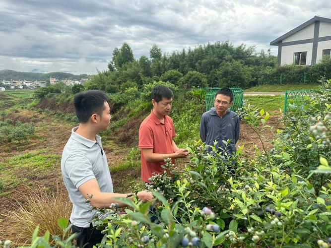 解读疫情最新消息广东省河源市东源县(河源东源新闻最新消息)