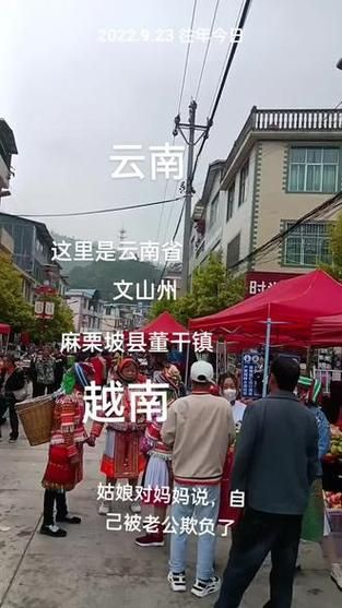 疫情防控中风险地区!云南文山壮族苗族自治州麻栗坡县(选择地址云南省文山市麻栗坡县)