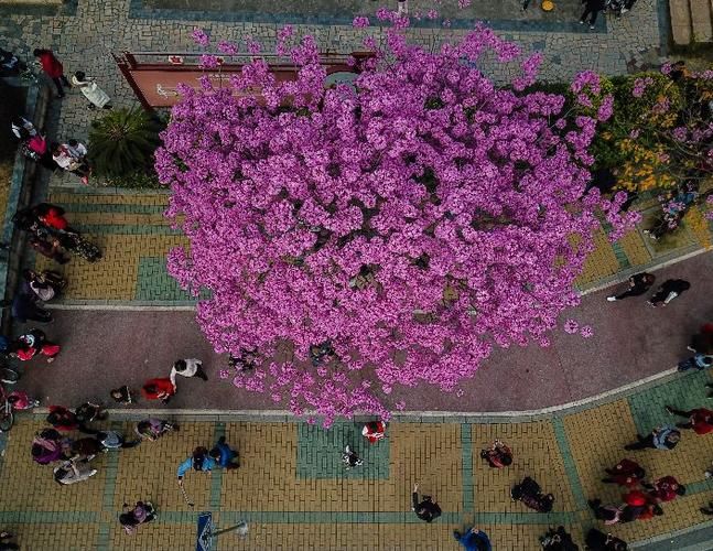  清远什么时候可以足不出户:清远市什么时候沦陷