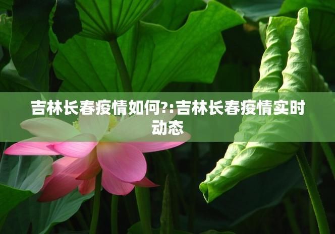 31省近期新增29例境外输入_31省区市新增71例本土确诊