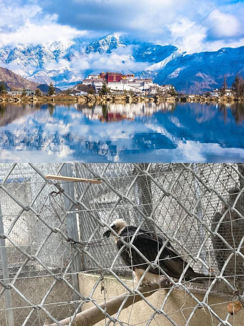 西藏自治区拉萨西藏文化旅游创意园区算是疫情风险地区吗_疫情期间西藏有疫情吗