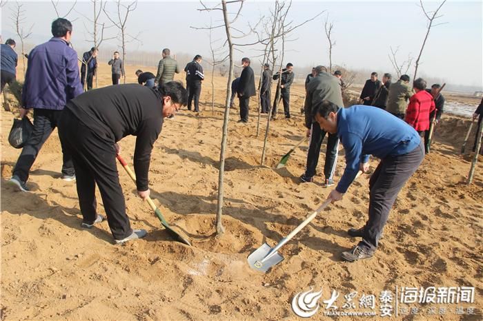 预计近6天宁阳县二次疫情蔓延_宁阳县关于二次报销政策