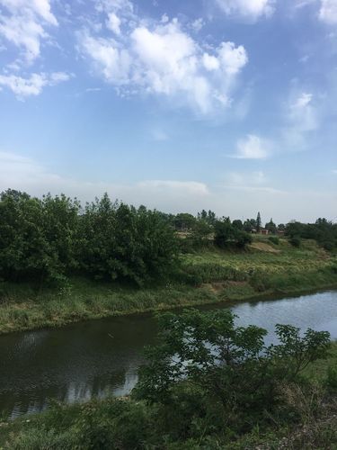查找湖北省荆门市沙洋县最新疫情(湖北省荆门市沙洋县的天气预报)