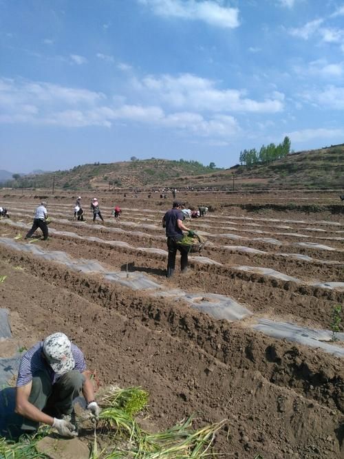 河北承德隆化县中高风险地区疫情/河北承德隆化县200M风电项目