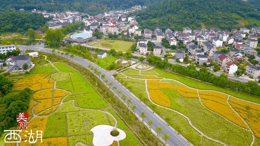 专家:浙江杭州西湖区每年或现多个感染高峰/杭州西湖区破解基层治理难题