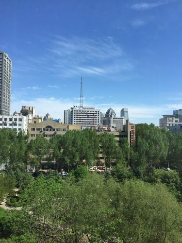 疫情分布图最新南岗区(南岗区今日最新天气)