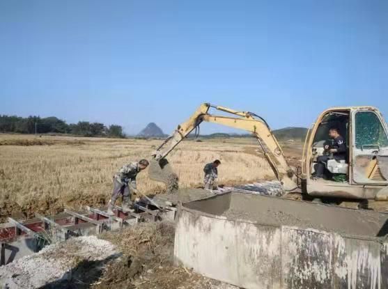 今冬疫情最新通报广西壮族自治区河池市宜州区/河池市宜州区2026年为什么没有种粮补贴