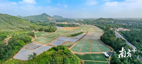 【湖北宜昌长阳土家族自治县最新疫情进展信息,湖北宜昌长阳土家族自治县的何伟】