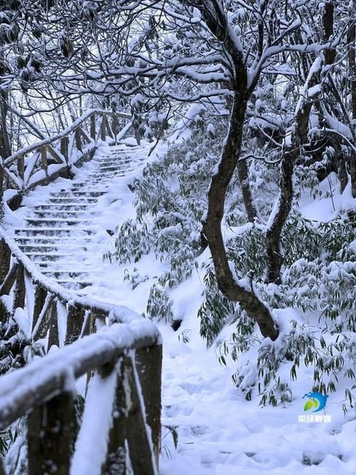 【一张图看懂今日四川雅安荥经县疫情_雅安荥经县下雪了吗】