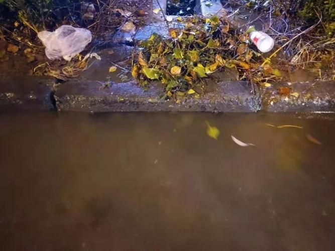 浙江省湖州市长兴县本土确诊已回落24地_浙江湖州长兴县目前有台风吗