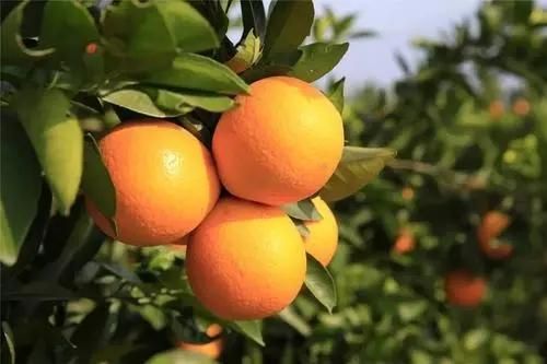 秭归县疫情最新消疫情况/秭归县最新公示信息