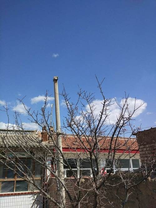 阳原县疫情还在新增吗今天/阳原县今天天气预报吗