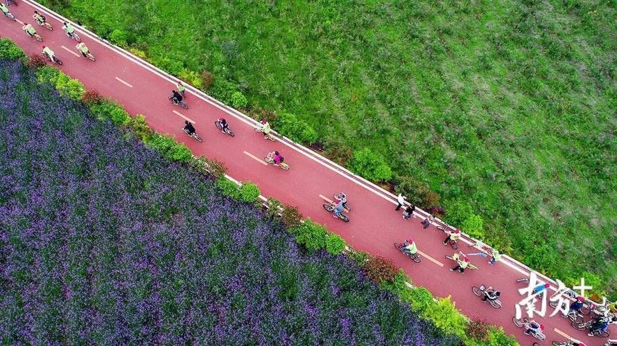 广东省梅州市蕉岭县中高风险地区疫情/广东省梅州市蕉岭县长潭水库扩容工程主体什么时候动工