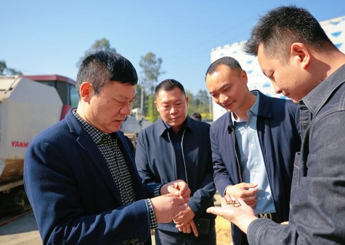 四川乐山沙湾区疫情最新消息/四川乐山沙湾区天气预报