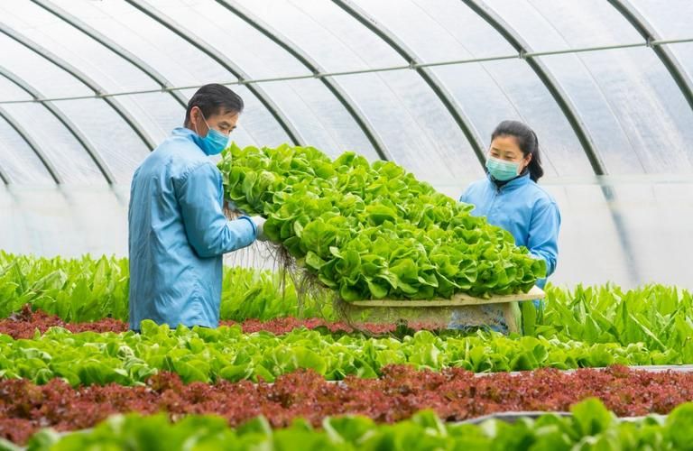 河北石家庄正定县疫情最新消疫情况/河北石家庄正定县正定镇西邢家庄村村委会图片