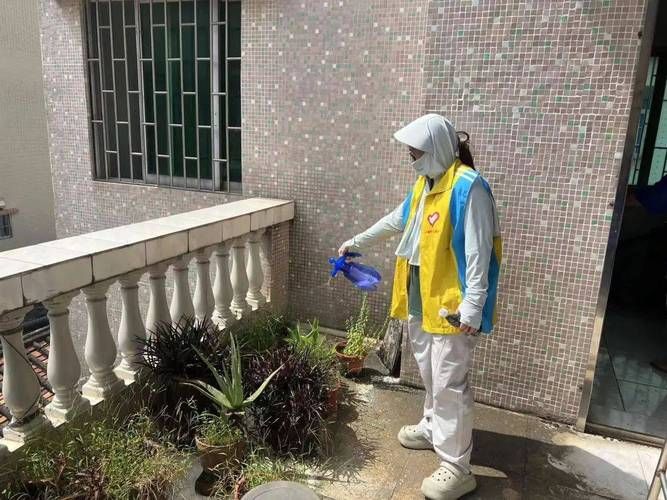 古镇镇疫情最新消息:古镇镇上门灭蚊子