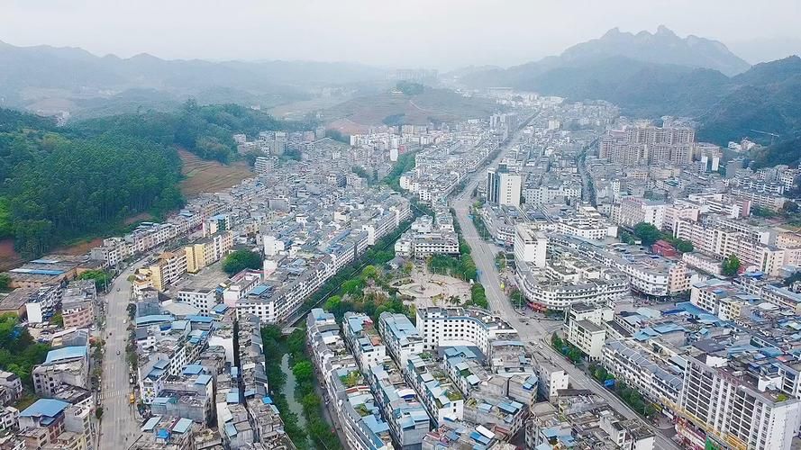 巴马瑶族自治县疫情地区分布/巴马瑶族自治县卫星地图