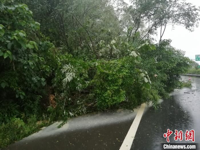 【芦山县最新疫情关注_芦山县发布过暴雨预警吗】