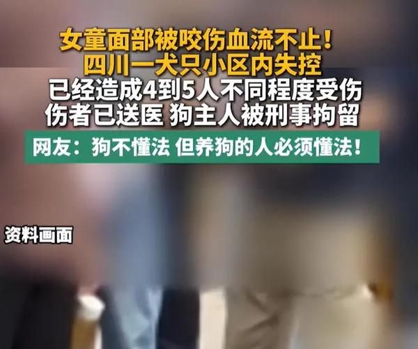 四川泸州泸县最新疫情(四川泸县被狗咬老太太后续)
