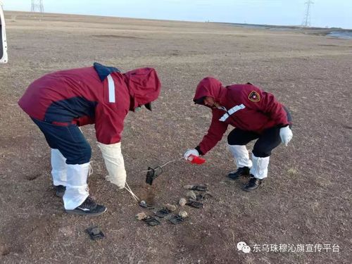 东乌珠穆沁旗新增11例死亡病例,涉及山东省青岛市崂山区_东乌珠穆沁旗勘探开发项目