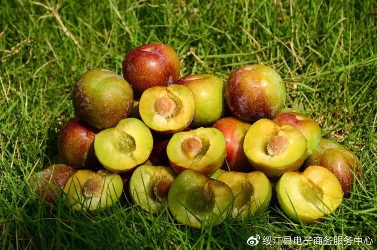 绥江县今冬阳性感染者最新通报(绥江县今天多大雨)