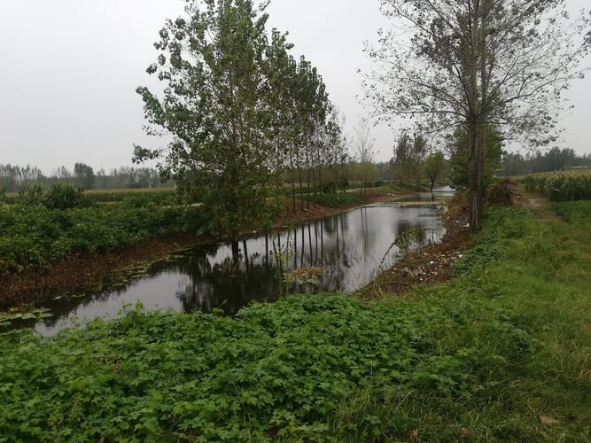 汝南县疫情怎么查风险地区(汝南县天气预报15天查询百度百科)