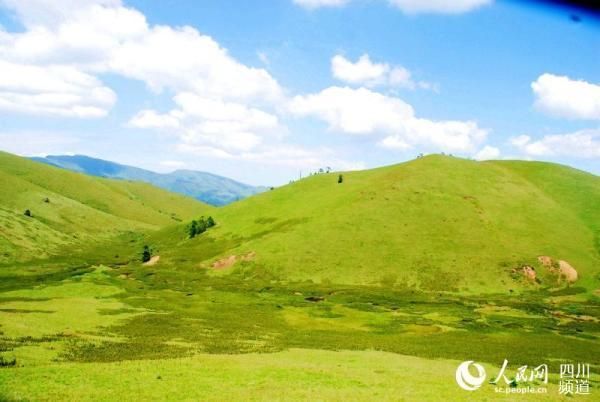 发现四川凉山彝族自治州金阳县1名密接者!/四川省凉山彝族自治州金阳县