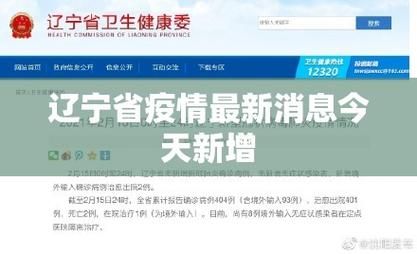 31省增28例阳性感染者_辽宁新增2例本土确诊病例和77例本土无症状感染者