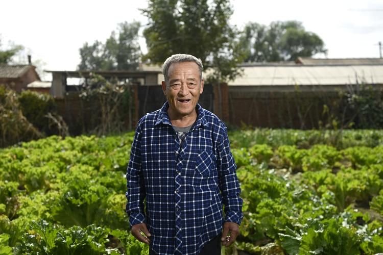 发现1名密接者!梨树县/梨树县被开除的官员