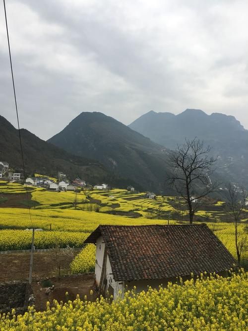 近2天湖北省宜昌市兴山县最新消息疫情/湖北宜昌市兴山县经济发展状况