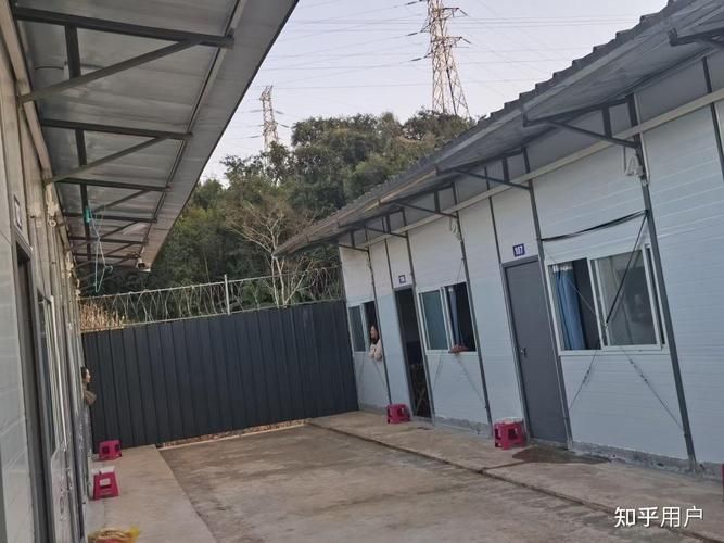 河南省新乡市卫滨区新增无症状感染者15例，均在云南保山施甸县_河南省新乡市卫滨区生源地代码