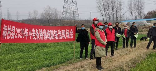 最新疫情临床桐柏县_桐柏县今天新闻