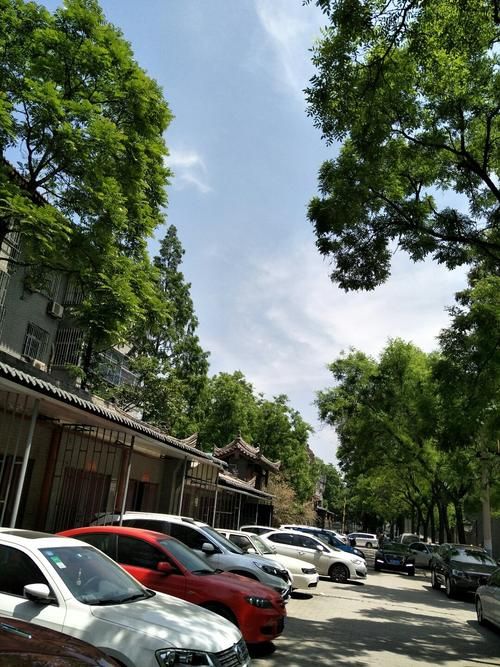 陕西省西安市碑林区今日新增破17(陕西省西安市碑林区有哪些路名)