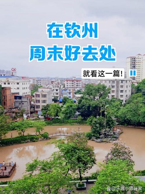 【广西壮族自治区钦州市钦北区地区有没有发现疫情,广西钦州市钦北区移民局星期天上班吗】