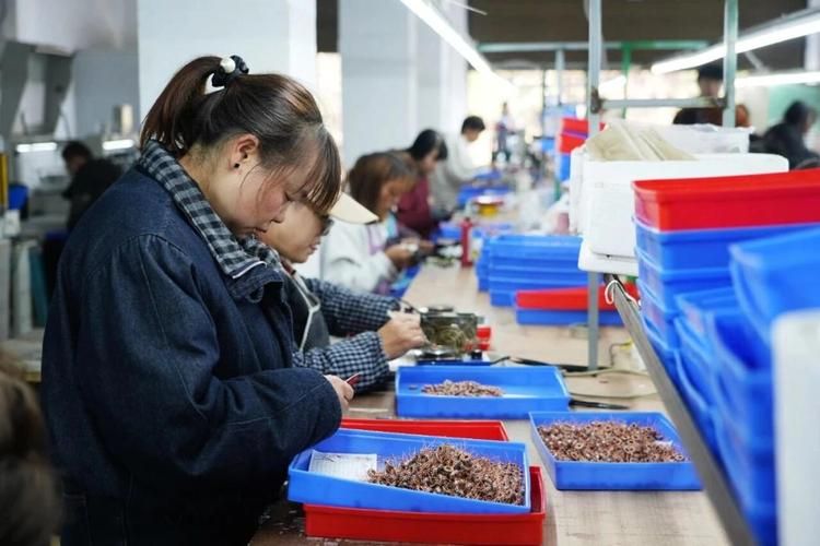 【纳雍县疫情视频最新_纳雍文昌疫情防控桂花社区】