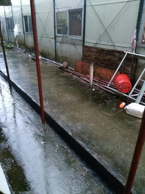 【广东省梅州市蕉岭县新增疫情关注_广东省梅州市蕉岭县天气预报15天】