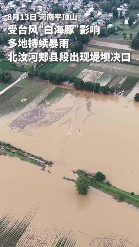 【疫情视频最新郏县,郏县最新大事件新闻】